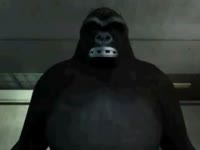 XXX beastiality scene featuring hentai girl about to be penetrated by gorilla